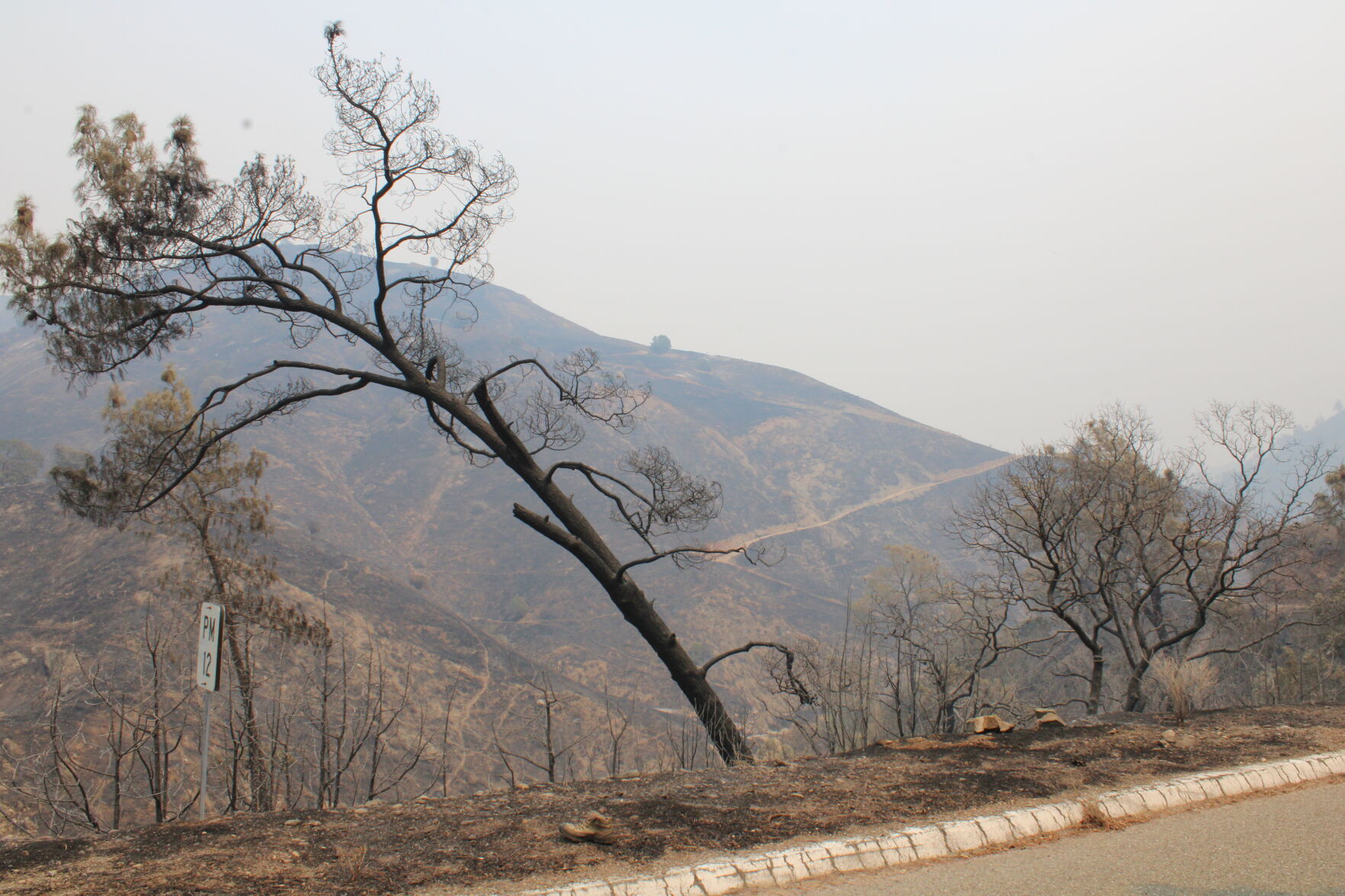 Del Puerto Canyon fire update